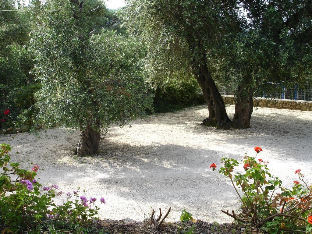 Bozikis Apartments & Studios Paleokastritsa Buitenkant foto