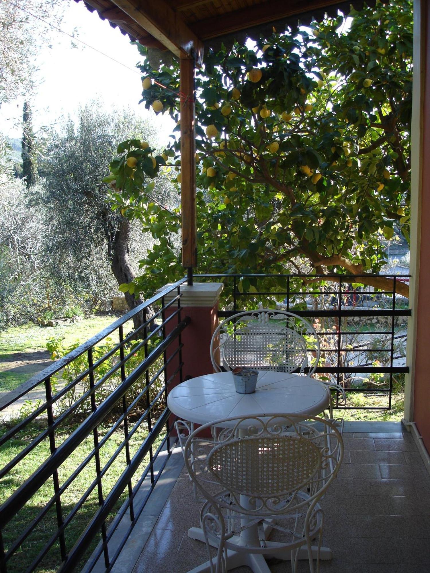 Bozikis Apartments & Studios Paleokastritsa Buitenkant foto